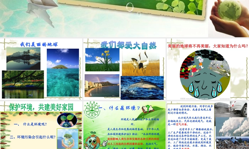小学生环保知识大讲堂
