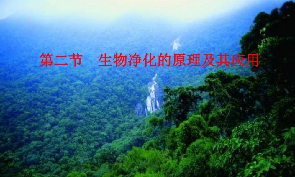 生物净化的原理及其应用