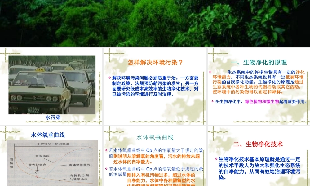 生物净化的原理及其应用