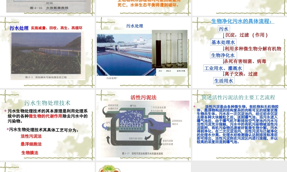 生物净化的原理及其应用