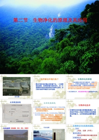 生物净化的原理及其应用