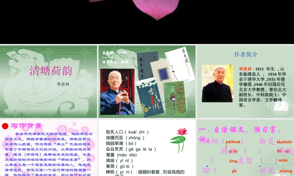 《清塘荷韵》课件