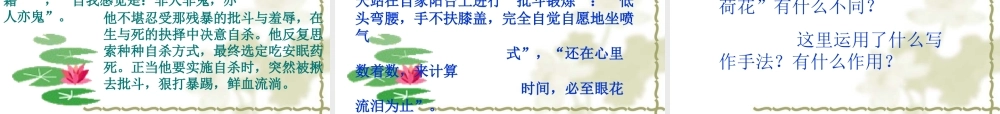 《清塘荷韵》课件