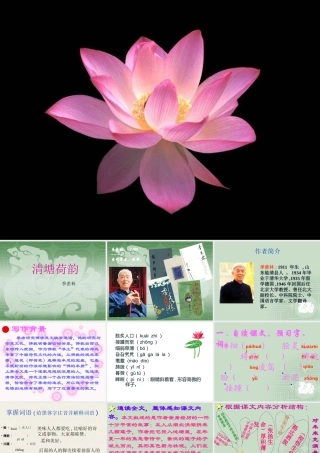 《清塘荷韵》课件