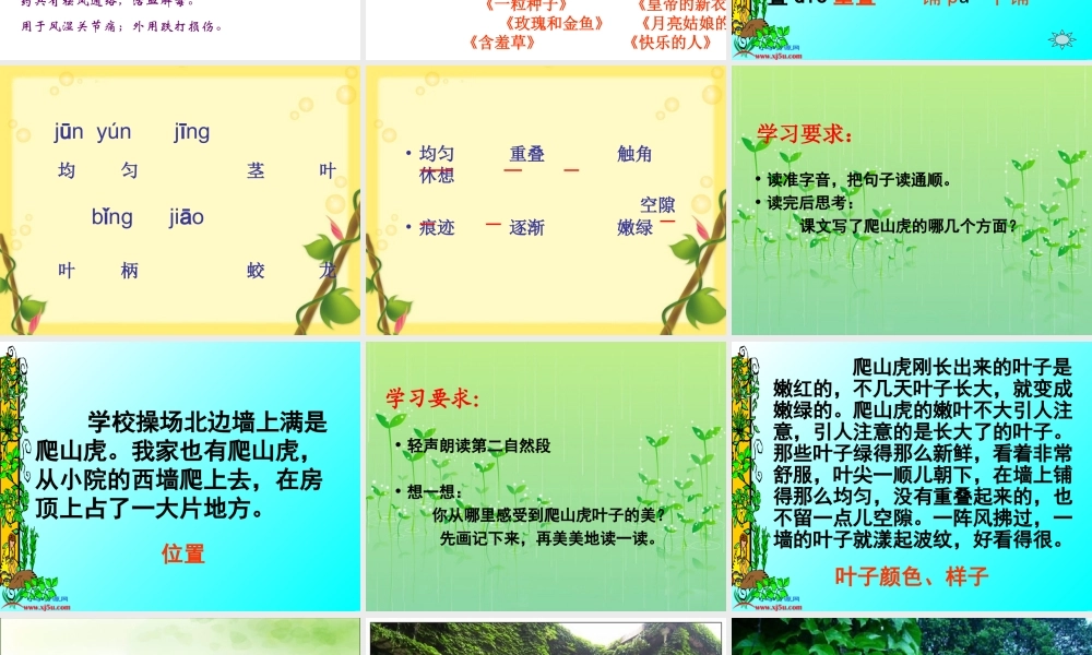 人教版四年级上册6《爬山虎的脚》PPT课件