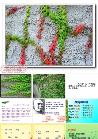 人教版四年级上册6《爬山虎的脚》PPT课件