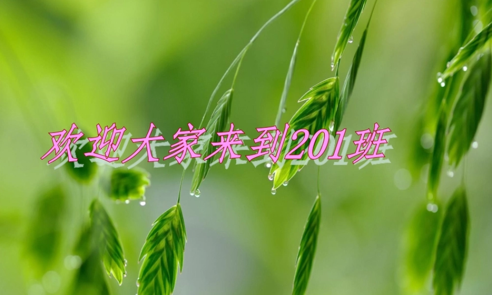 人教2011版小学数学二年级数学广角——数独