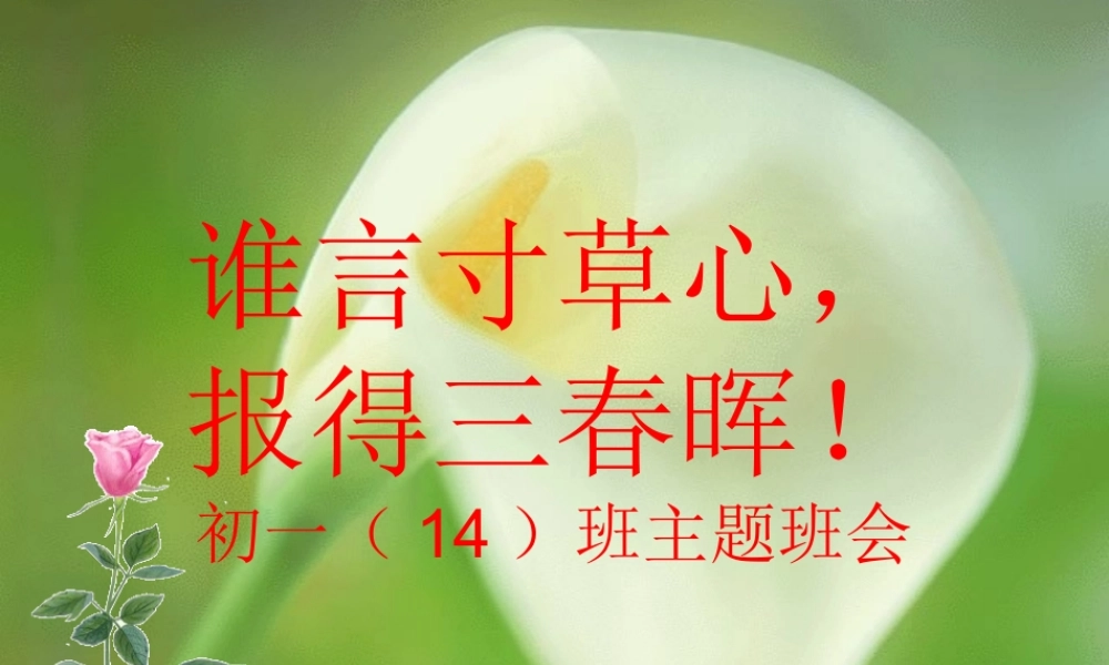 谁言寸草心报得三春晖