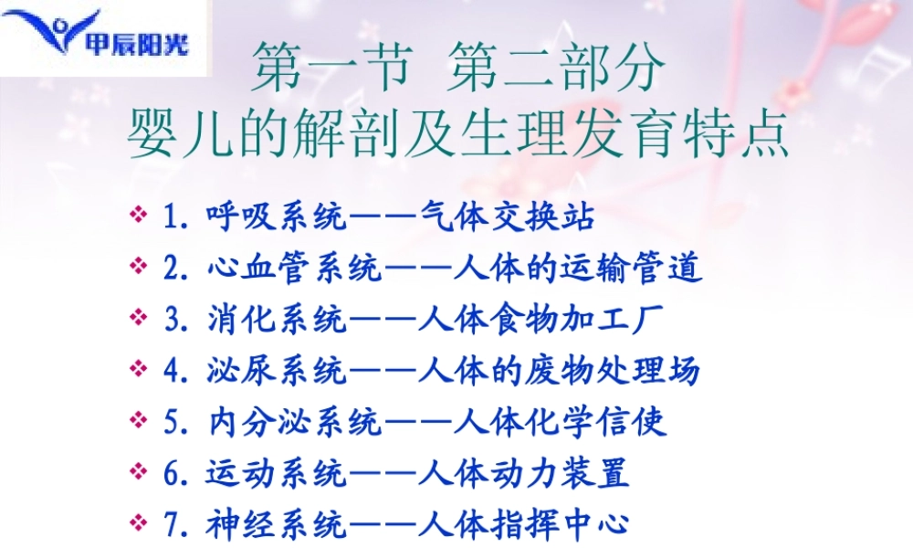中级育婴师----婴儿的解剖及生理发育特点