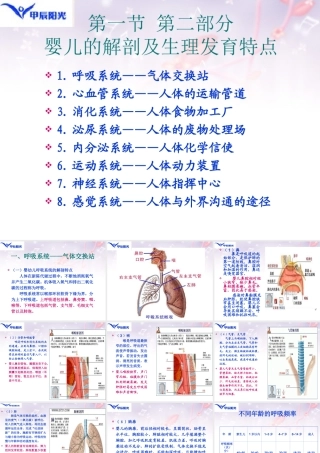 中级育婴师----婴儿的解剖及生理发育特点