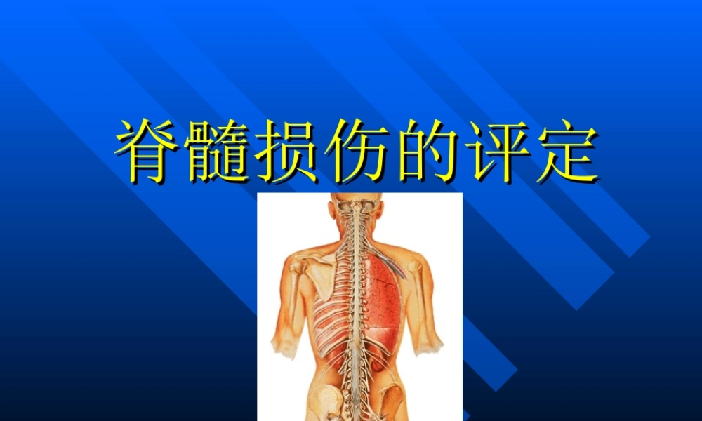 脊髓损伤的评定