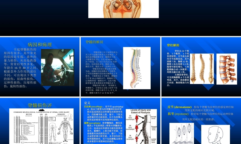 脊髓损伤的评定