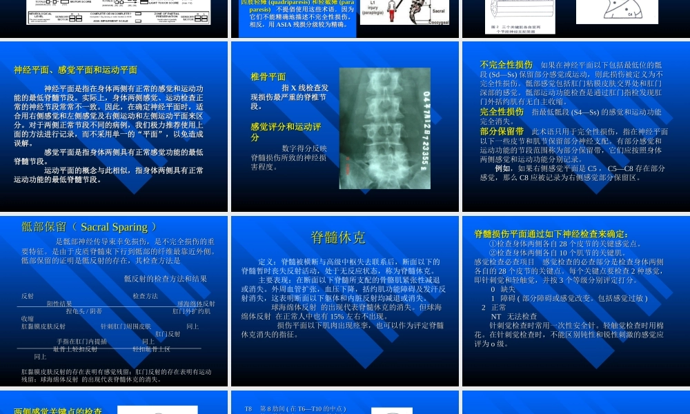 脊髓损伤的评定