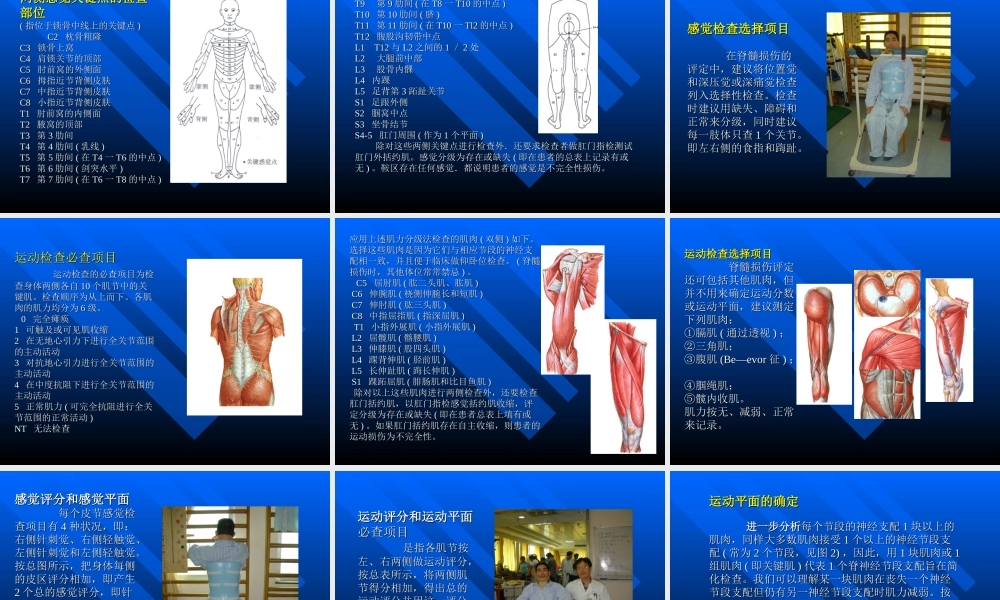 脊髓损伤的评定