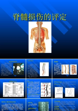 脊髓损伤的评定