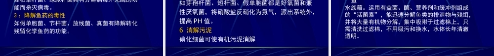 水族箱造景概论