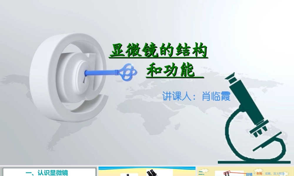 显微镜的结构和功能