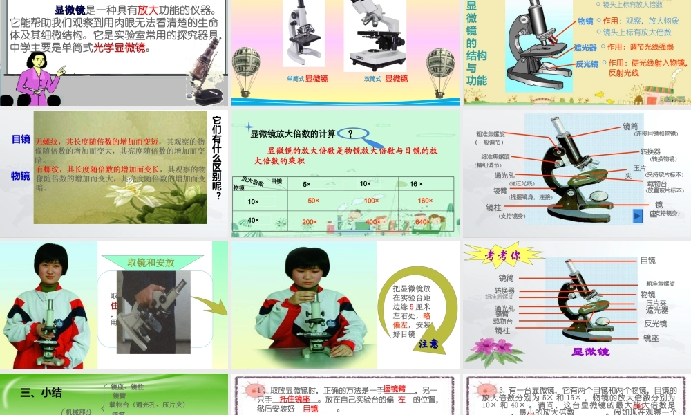 显微镜的结构和功能