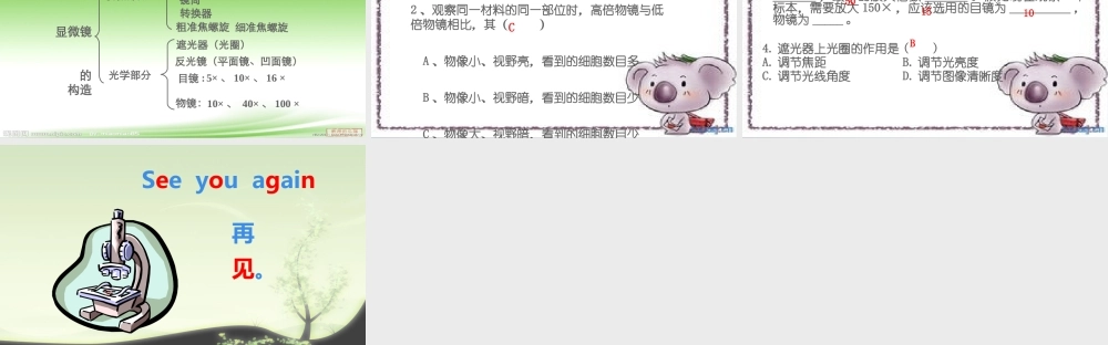 显微镜的结构和功能