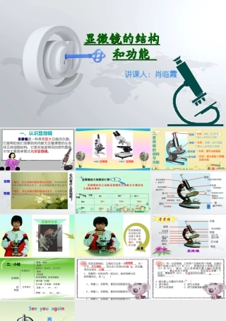 显微镜的结构和功能