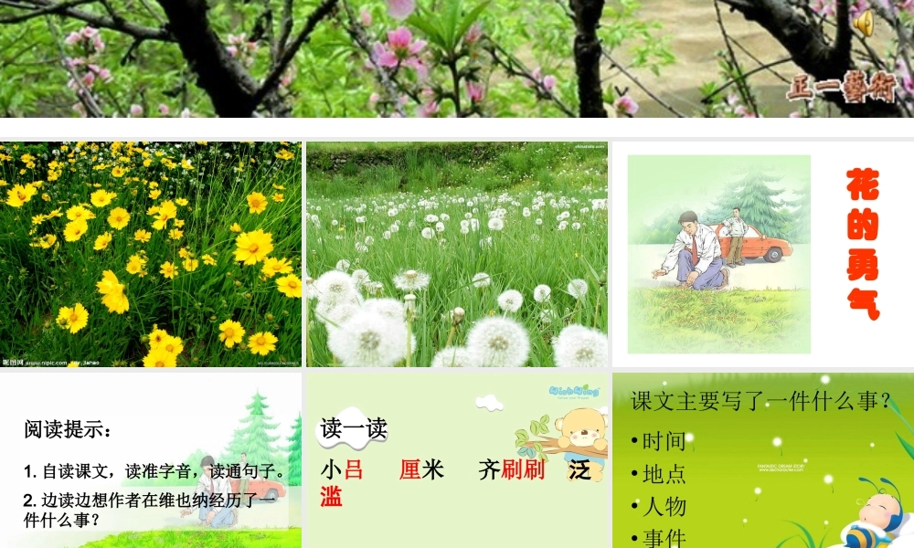 花的勇气PPT