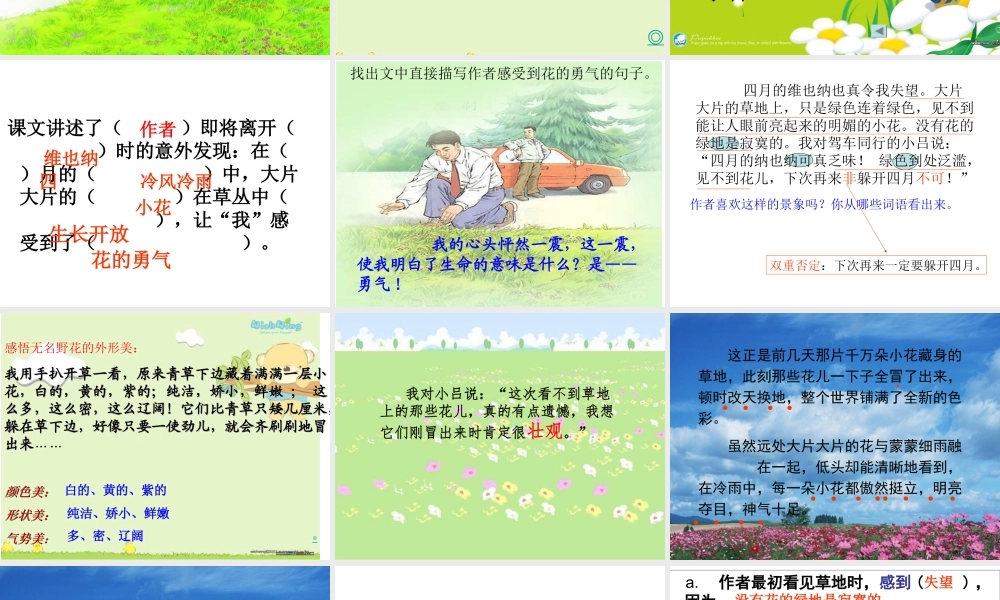 花的勇气PPT
