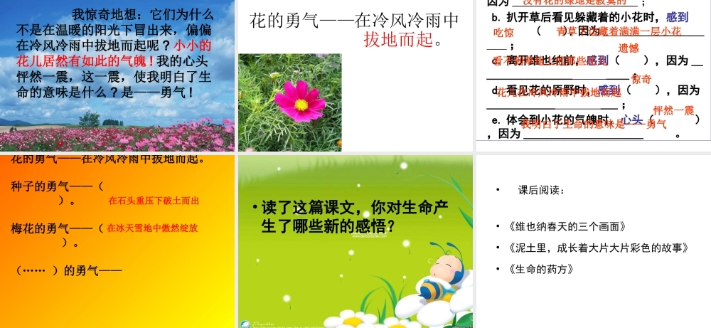 花的勇气PPT