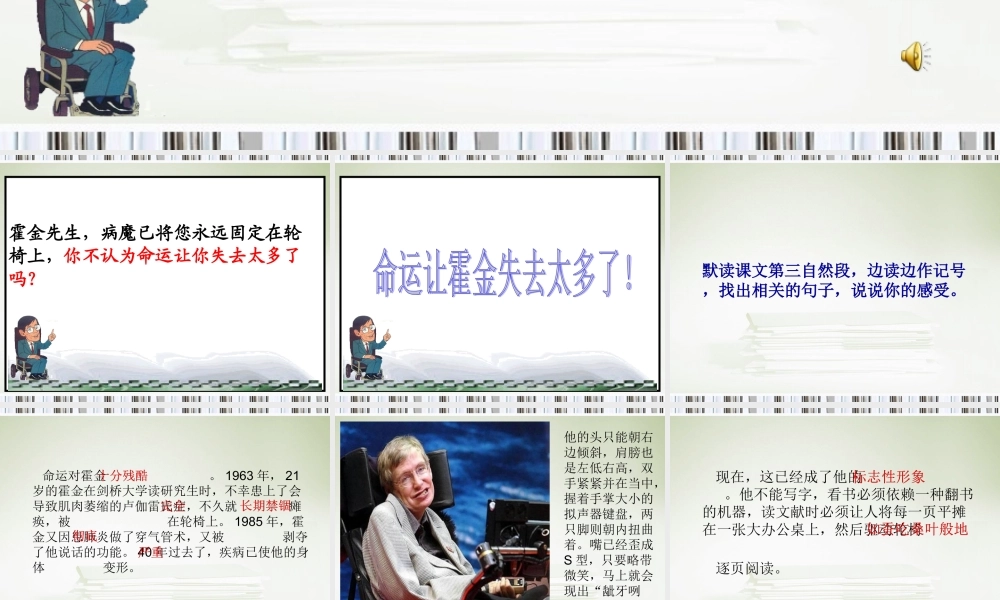 轮椅上的霍金