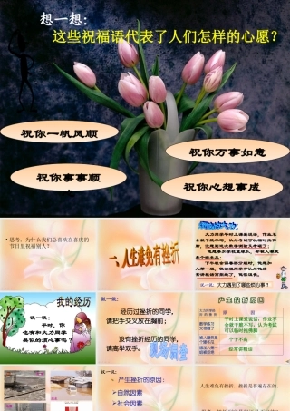 人生难免有挫折第一课时