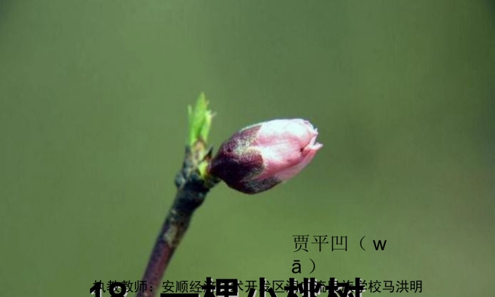 (部编)初中语文人教2011课标版七年级下册18.一棵小桃树-(2)