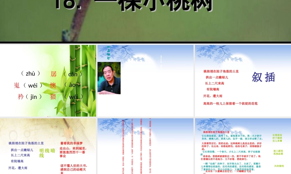 (部编)初中语文人教2011课标版七年级下册18.一棵小桃树-(2)