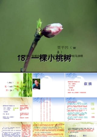 (部编)初中语文人教2011课标版七年级下册18.一棵小桃树-(2)