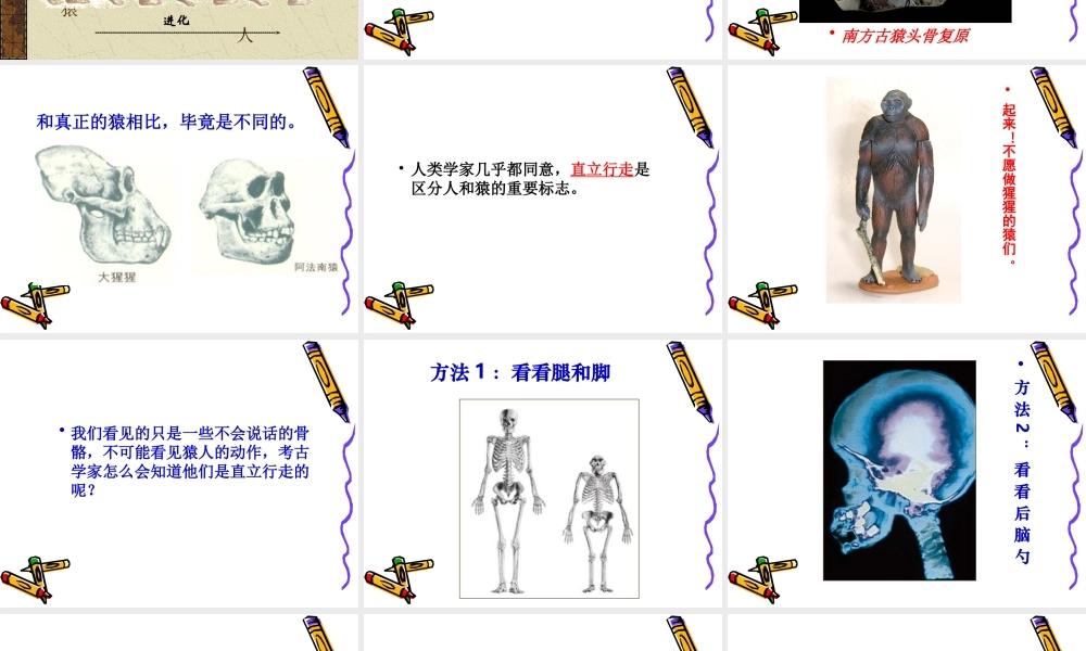 171第1课人类的形成