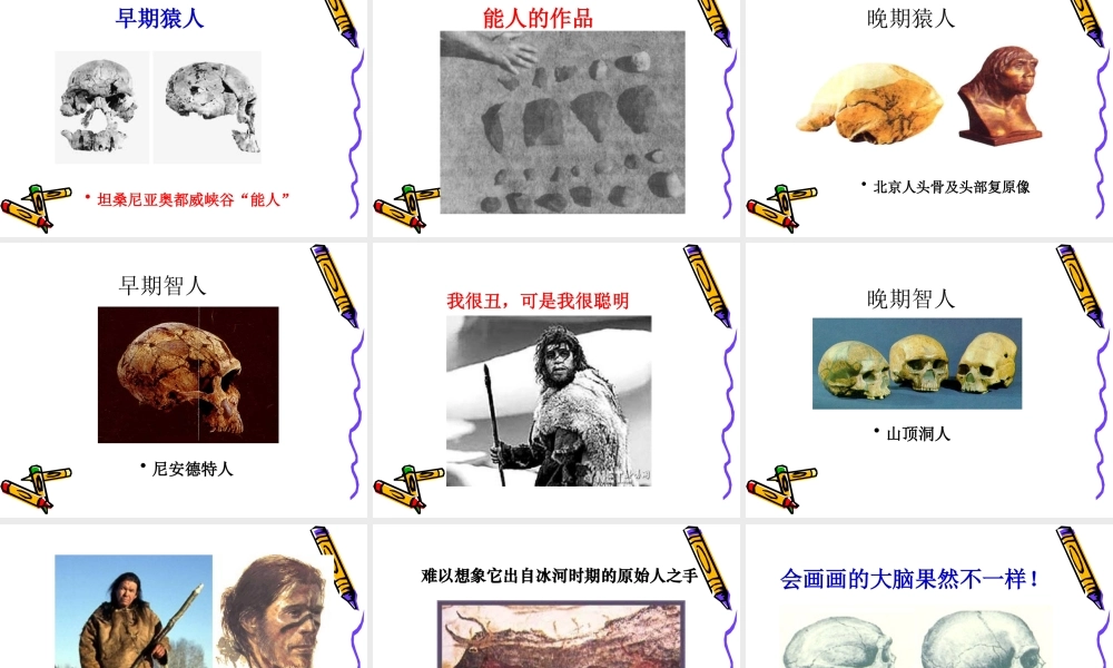 171第1课人类的形成