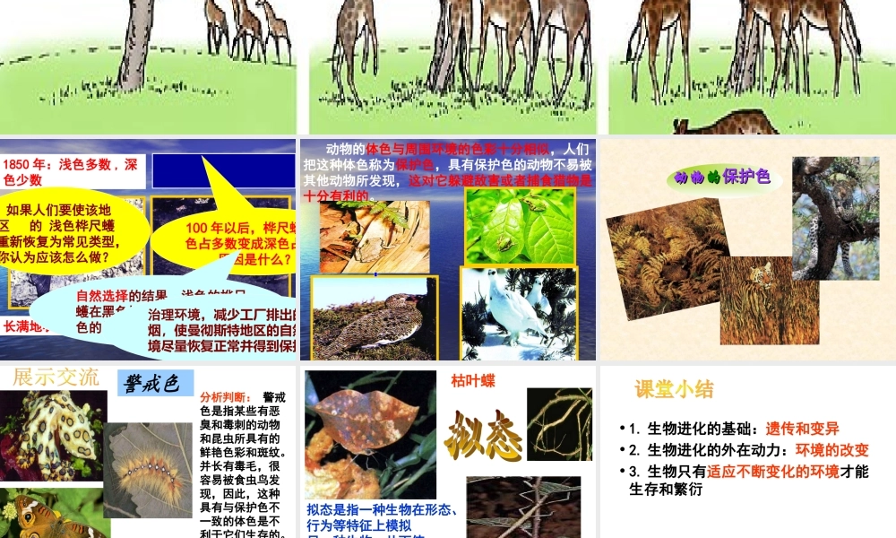 人教版-八年级生物-第七单元-第三节-生物进化的原因课件