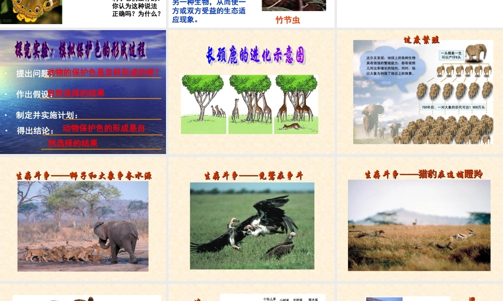 人教版-八年级生物-第七单元-第三节-生物进化的原因课件