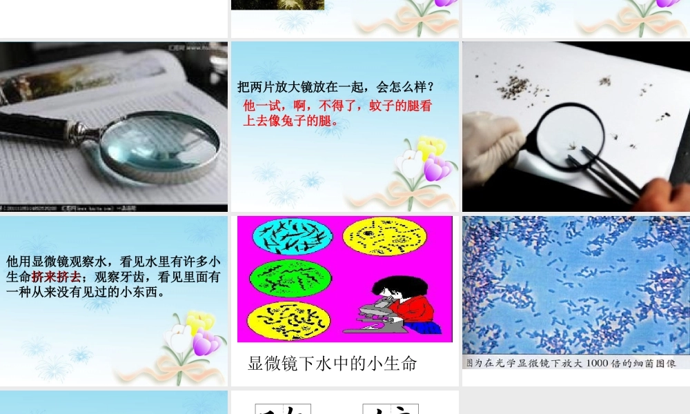 元第15课玩出了名堂PPT课件