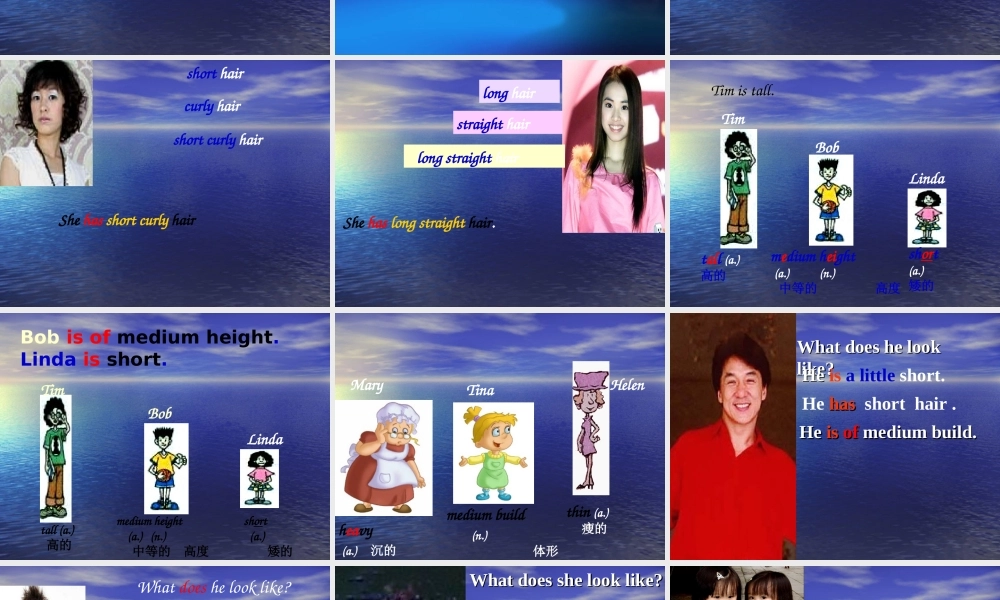 What-does-he-look-like