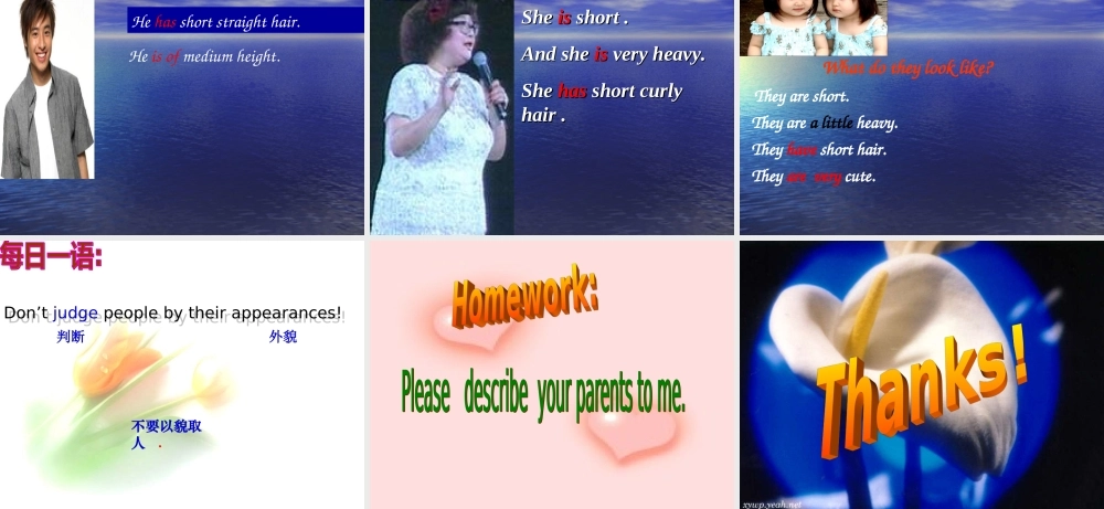 What-does-he-look-like