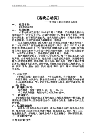 《春晚总动员》海选方案-《春晚总动员》——省台春节联欢晚会海选方案
