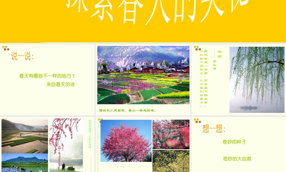 (2017年春季版)《探索春天的奥秘》课件