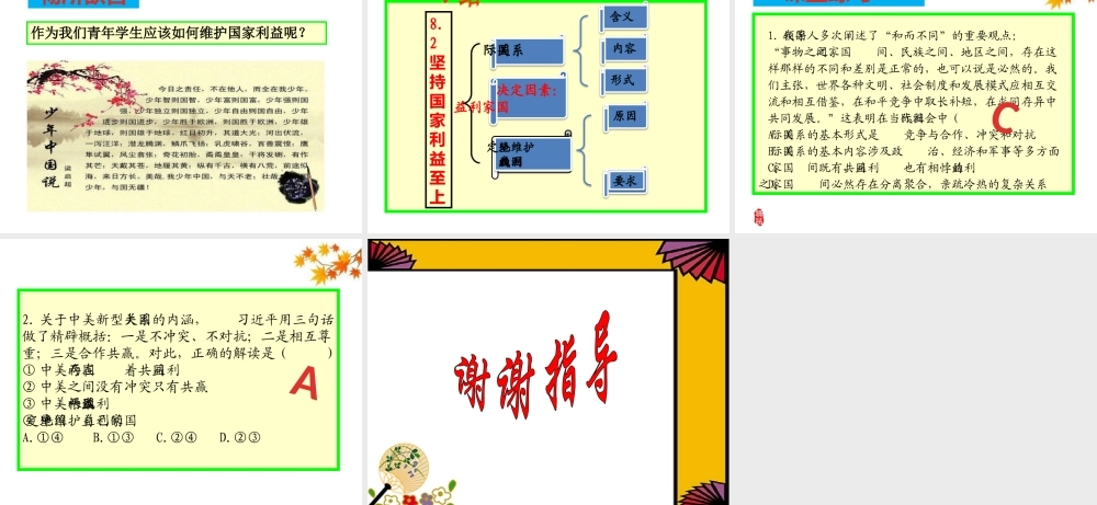 坚持国家利益至上-(3)
