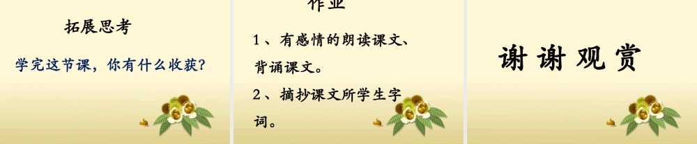 《猫和狗-鸭和鹅》课件2