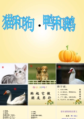 《猫和狗-鸭和鹅》课件2
