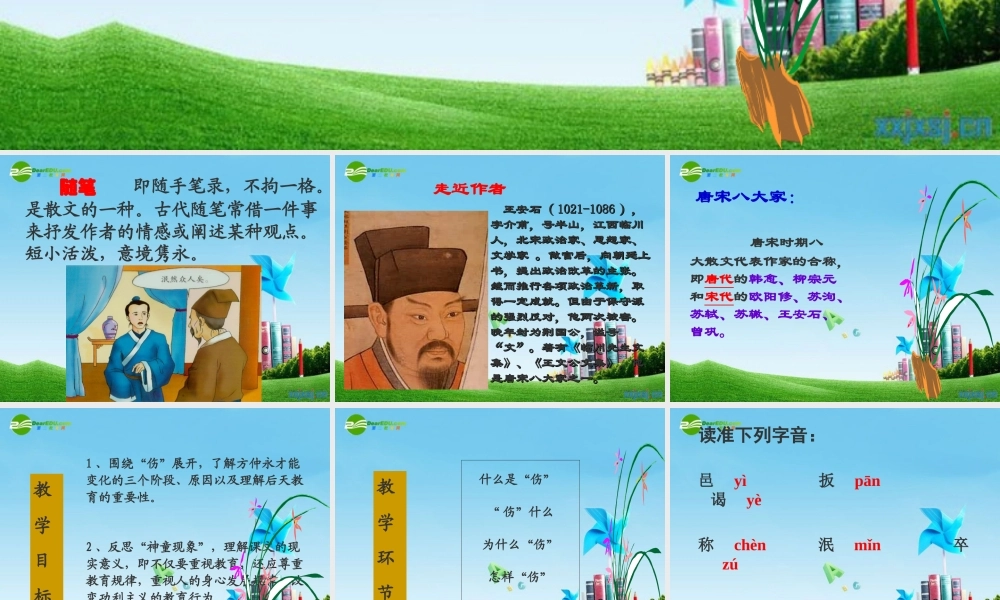 《伤仲永》PPT精选课件