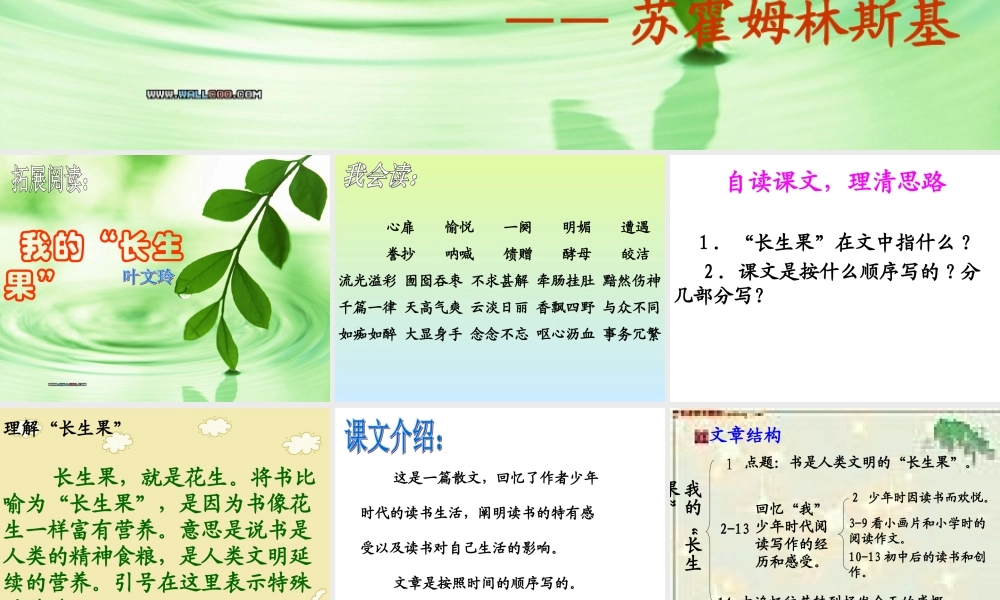 4我的长生果2用