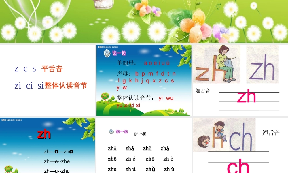 zh-ch-sh-r教学课件