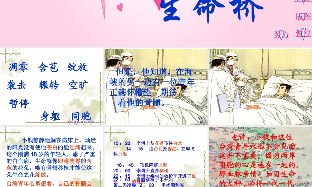 22-跨越海峡的生命桥1