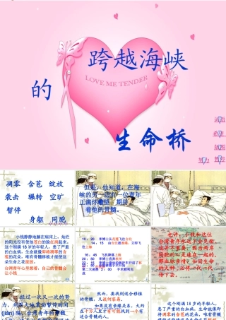 22-跨越海峡的生命桥1