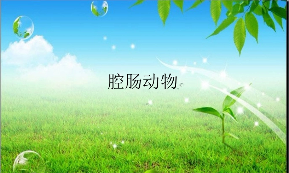 初中二年级生物上册第五单元-第一章-动物的主要类群第一课时课件